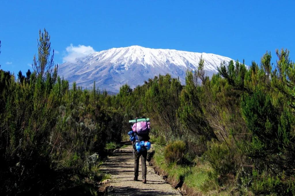 6 Days Rongai Route Kilimanjaro Trek