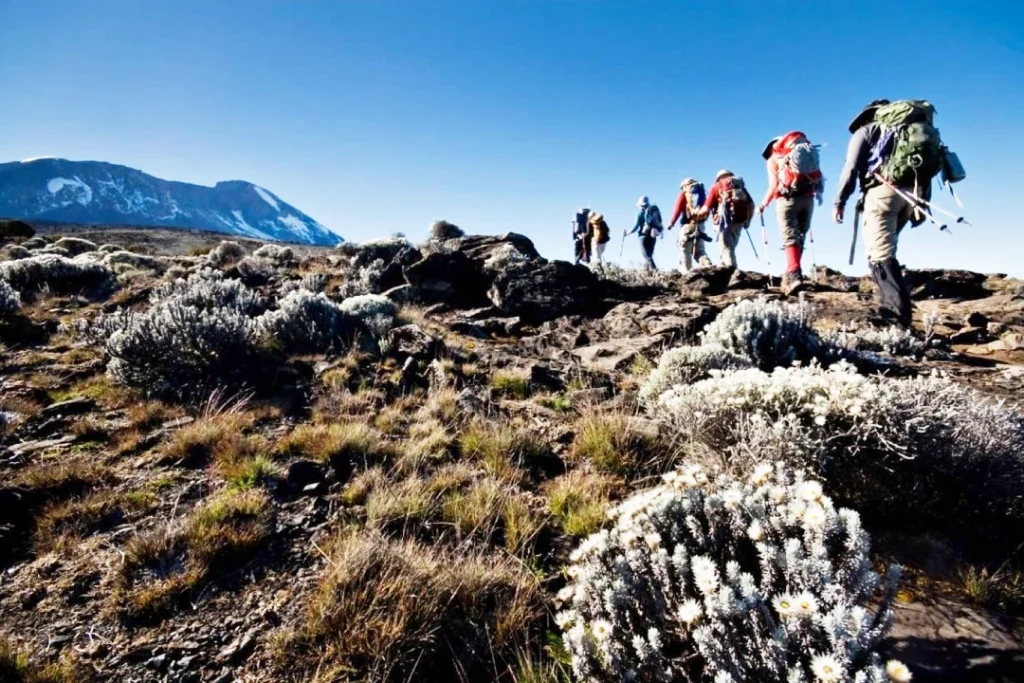 6 Days Umbwe Route – Kilimanjaro Trek