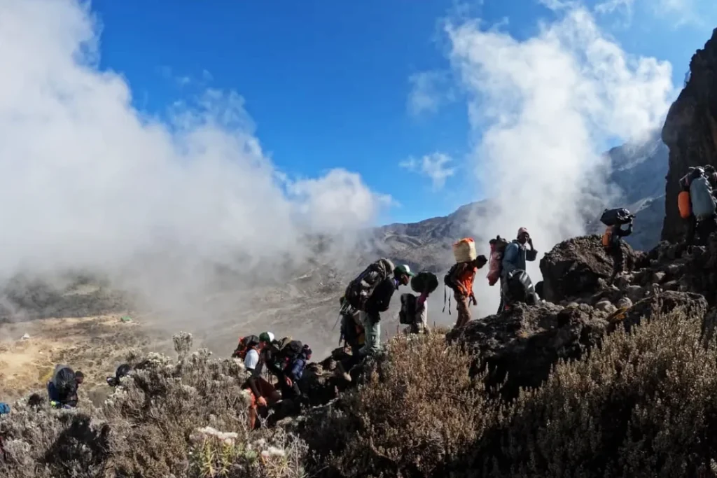 8 Days Mount Kilimanjaro Trek Via Lemosho Route