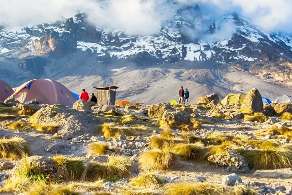 9 Days Northern circuit Route – Kilimanjaro Trekking