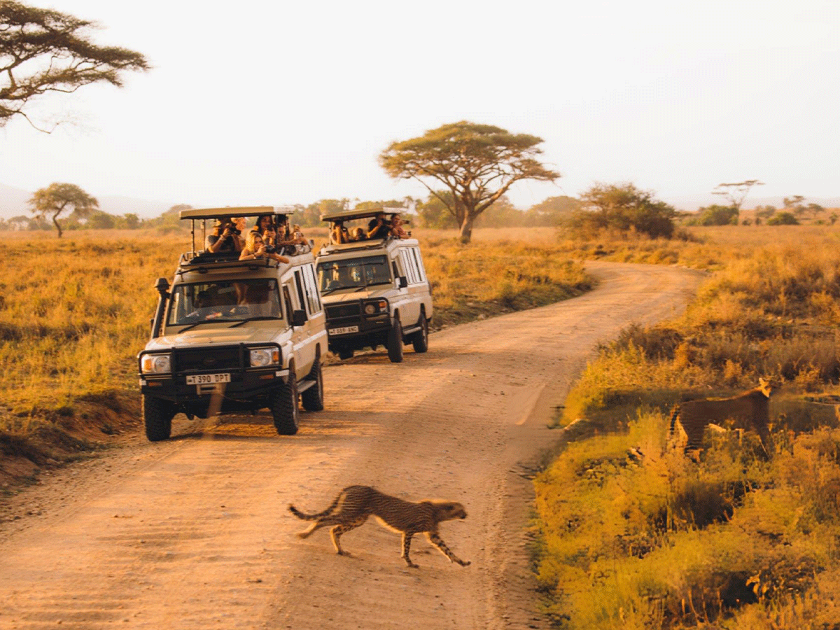 tanzania safari serengeti